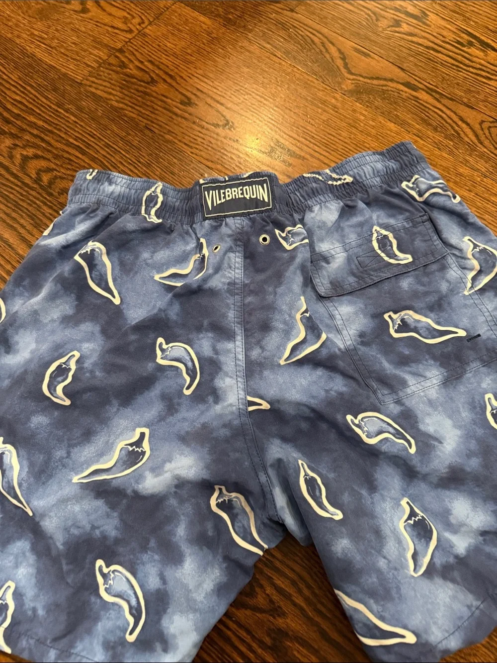 Men's Blue Printed bathing suit